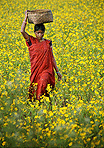 Araku Valley