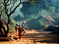 Araku Valley